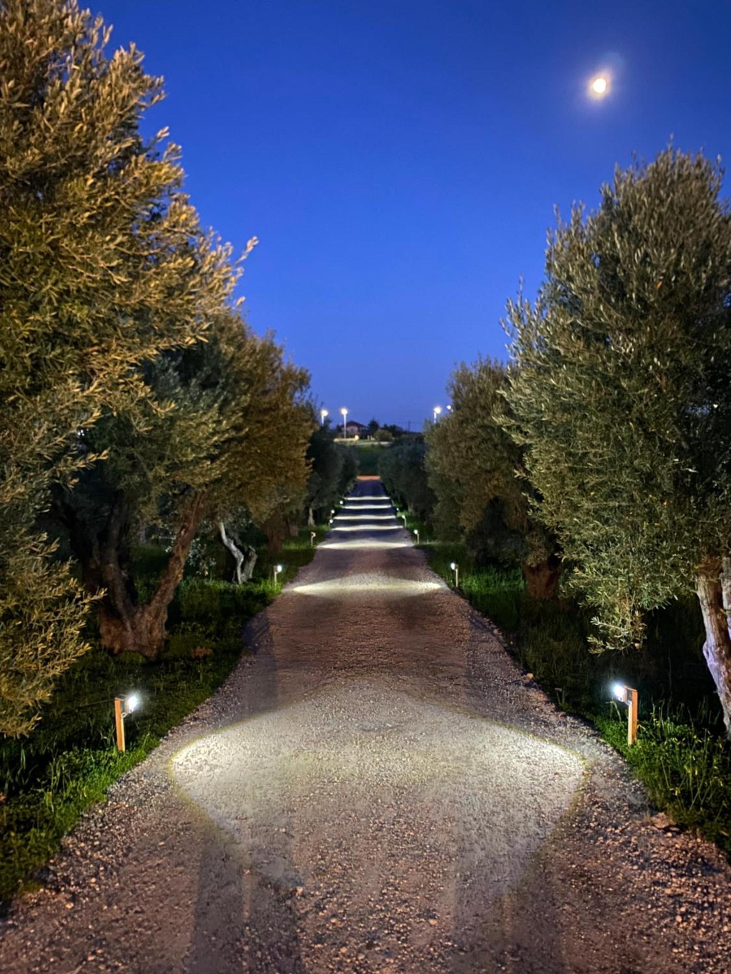 Villa Olymp Potidée Extérieur photo